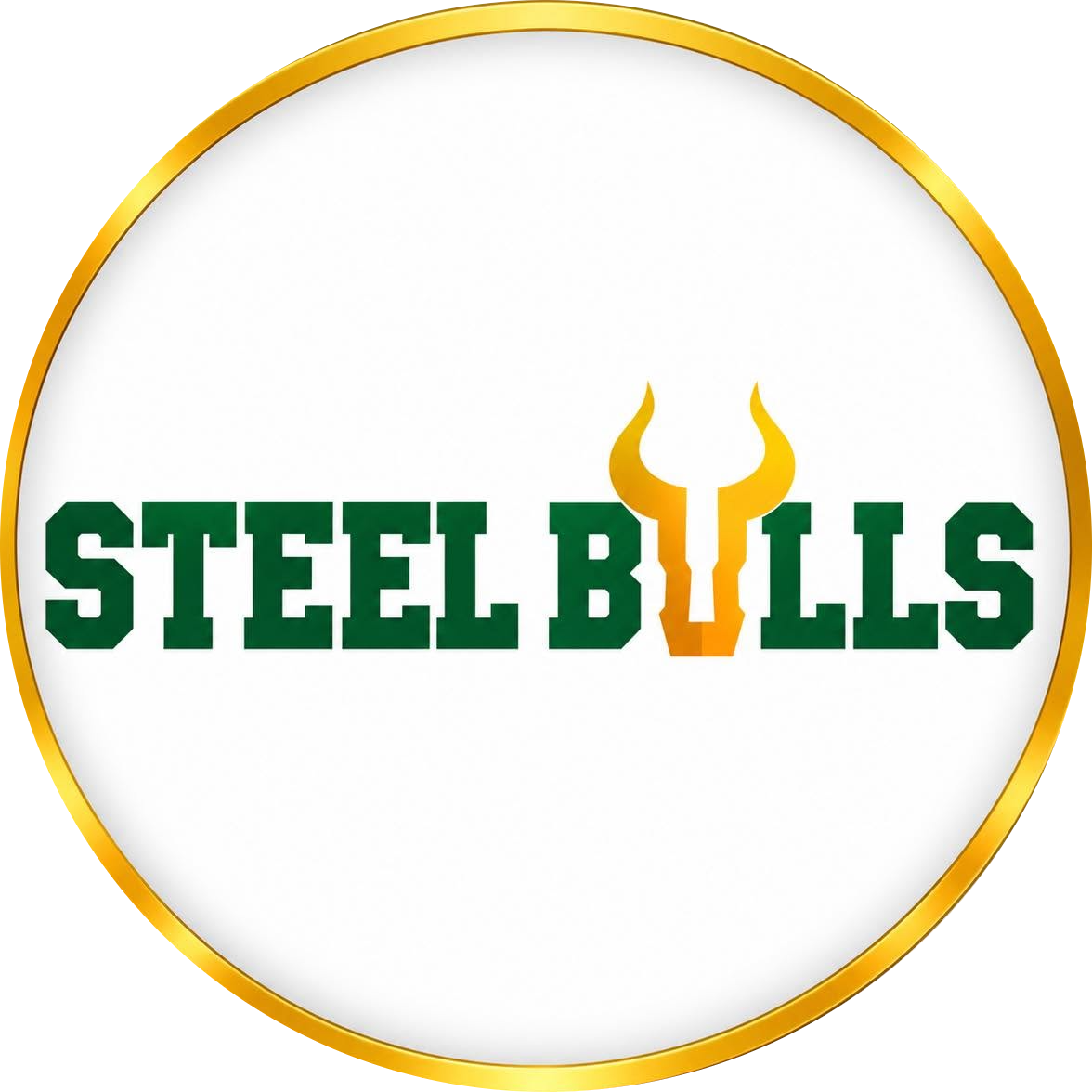 Steel Bulls